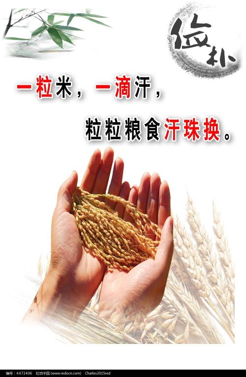 理所大学 Architecture Degree Certificate